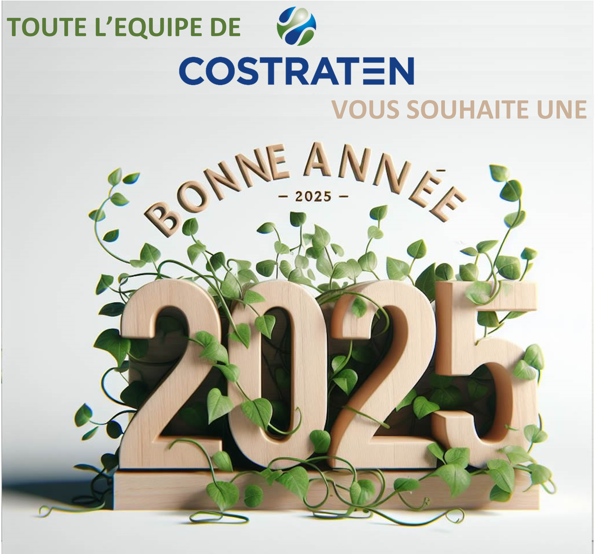 Meilleurs Vœux 2025